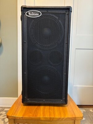 RevSound RS28V bass speaker cabinet