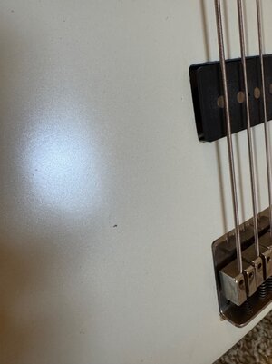 IMG_5002.jpeg