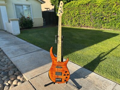 Peavey USA Millennium Plus 4 in Tiger-eye finish