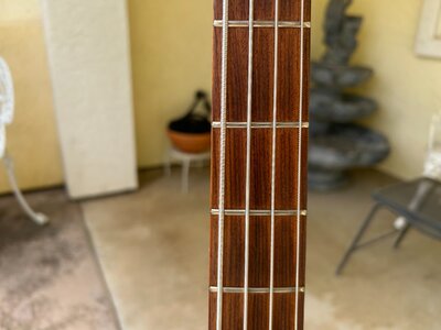 5.JPG