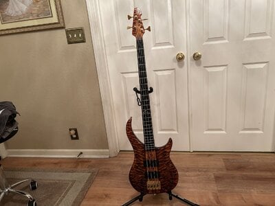 Peavey USA Cirrus 4 Quilt top Tiger Eye