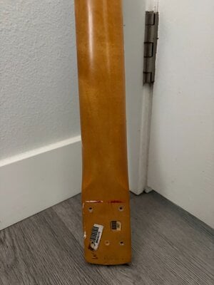 IMG_0363.jpeg