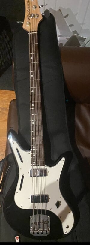 FS: Fretless Acinonyx cat in black