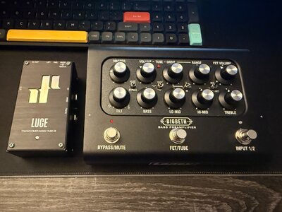Pedal board buffer? How about cash buffer? Jad Freer Luce Tube Di and Laney Digbeth Nathan East Pre