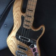 Albibass