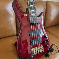Musicman81