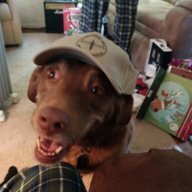 negriljerry