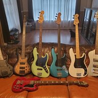 thefaceofbass