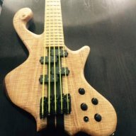 bassman511