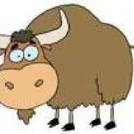 Taurusmoo