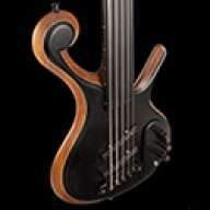 XylemBassGuitar