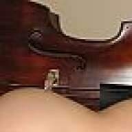 bassiszen