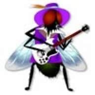 Fly Guitars