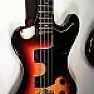 P Model