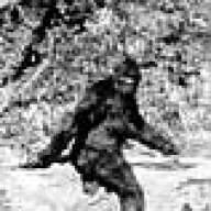 SanPedroYeti
