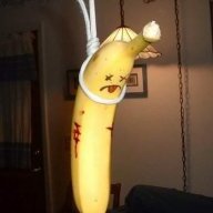 Flipsnake