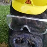 Winny Pooh