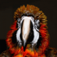 LicknOnDaLoLo