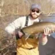 champlainbass
