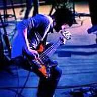 Shetland