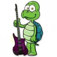 Bass Turtle
