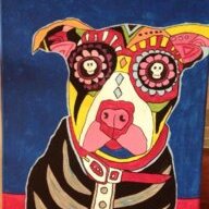 Blind Dog