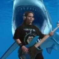 Bassist4
