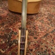 Bassrobb