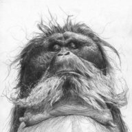 grizzlebeard