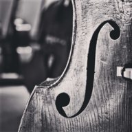 arvibass