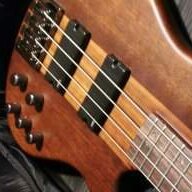 BassBoomer23