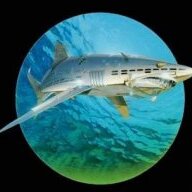 MetalSharK