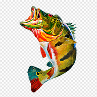 Falojazz