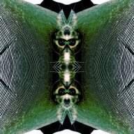 Faldoe