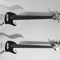 meercatzbass