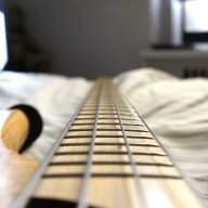bryanthebassist