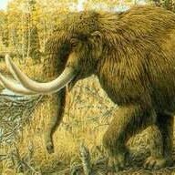 Hungry Mastadon