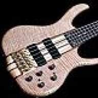 basscollector10