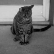 MrPierre