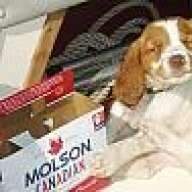 molsonator