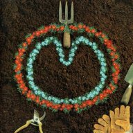 Aedrimus63
