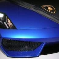 DarkShark