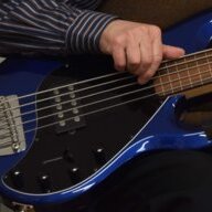 Idle Plucker