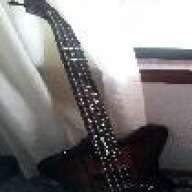 merolbassist