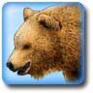 PBassBear