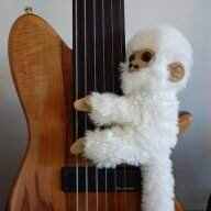 SixBass