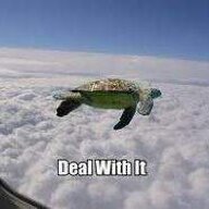 Bassmaster Tortuga