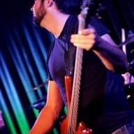 N8N bassist