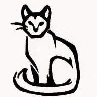 the mongrel cat
