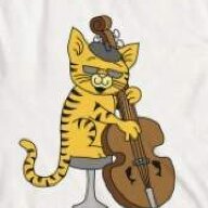 a cat IRL